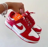 Modelo red -ESGOTADO